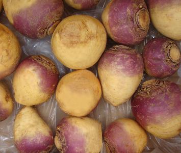 Swede Turnip